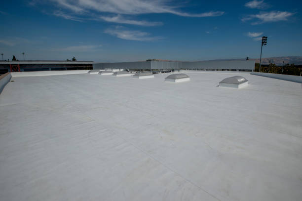 Best Sheet Metal Roofing  in Edgecliff Village, TX